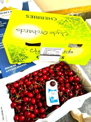 hộp cherry New Zealand 2kg