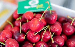 Cherry Mỹ có bao nhiêu loại