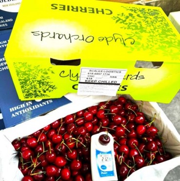 Hộp cherry New Zealand 2kg