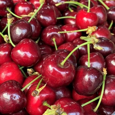 Cherry loại hoa quả nhập khẩu từ Canada