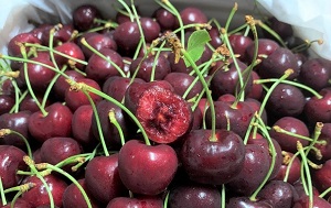 bán cherry tại Bắc Từ Liêm