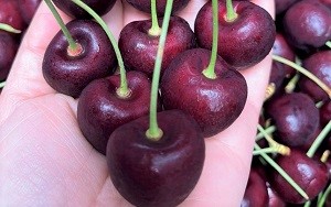 Hình ảnh quả cherry