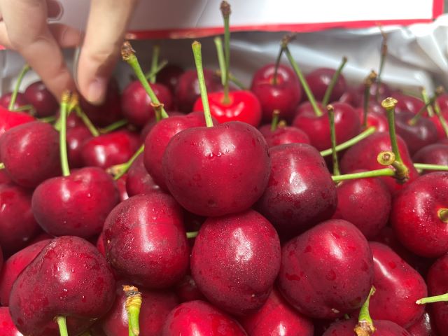 cherry Mỹ