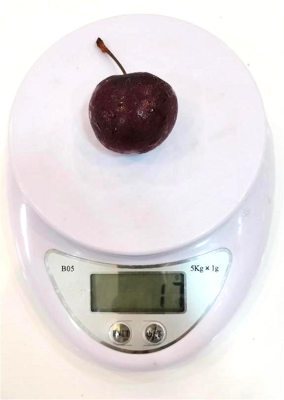 Cherry Mỹ 1kg có bao nhiêu quả