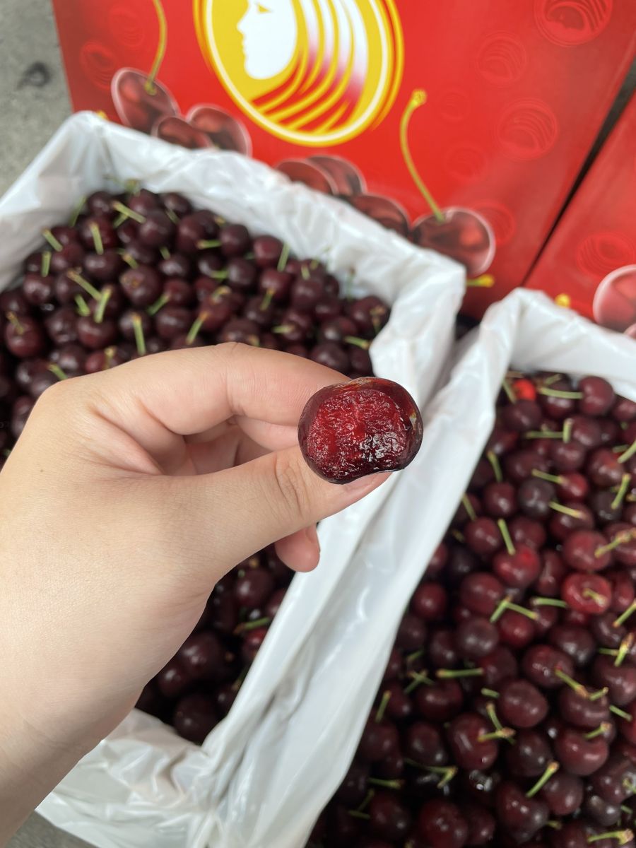 Cherry Mỹ Rivermaid