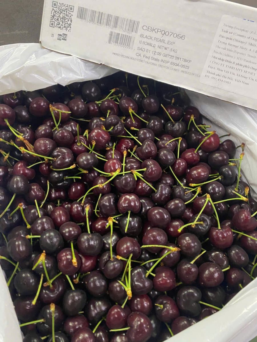 Cherry Mỹ đầu mùa