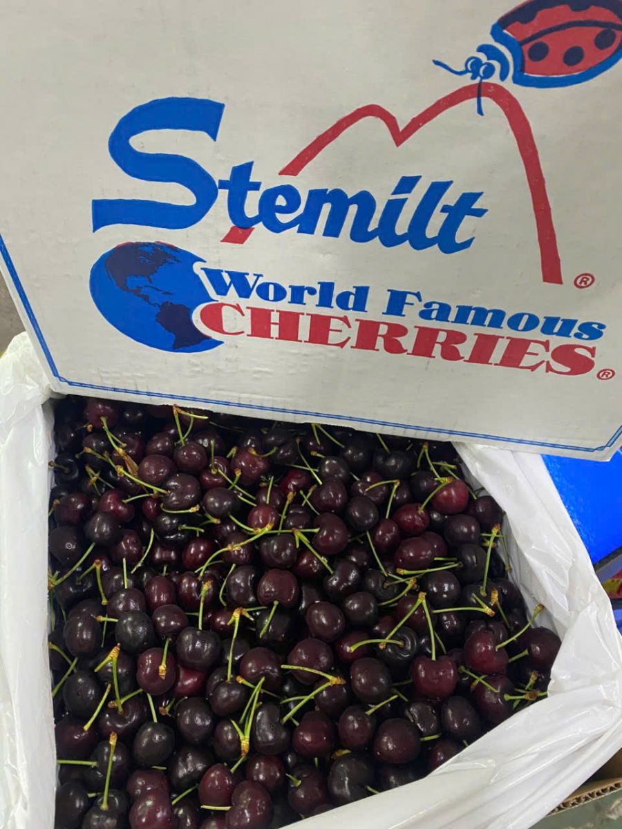 Cherry Mỹ đầu mùa