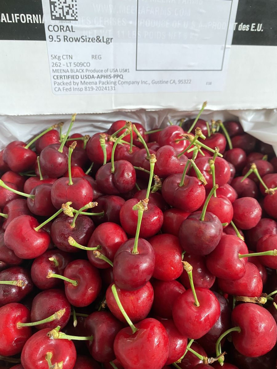 Cherry Mỹ Meena