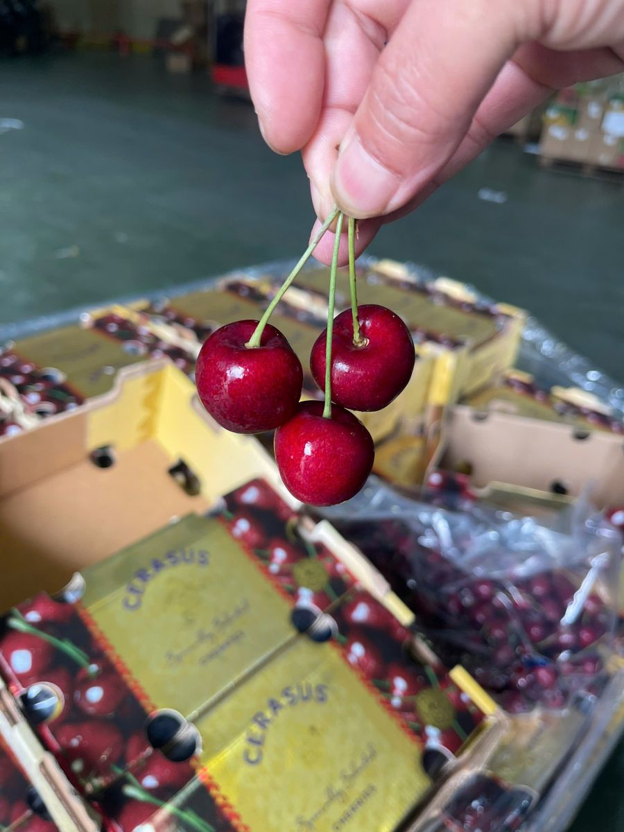 Cherry Nam Mỹ