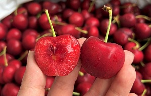 Cách chọn quả cherry nhập khẩu tươi ngon nhất