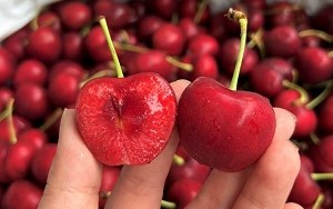 Hình ảnh quả cherry