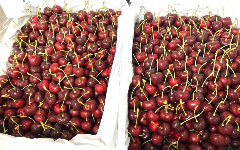 cherry Úc
