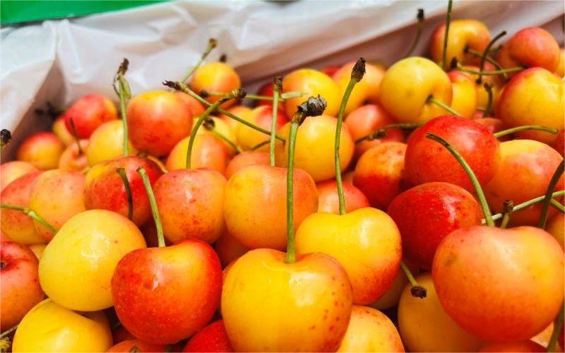 cherry vàng 