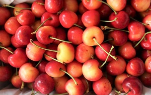 quả Cherry Canada