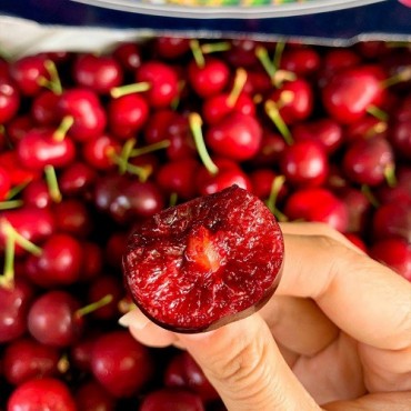 CHERRY MỸ ĐẦU MÙA