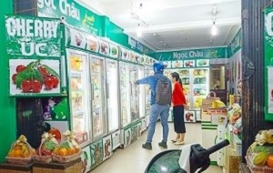 Cửa hàng hoa quả sạch Hà Nội