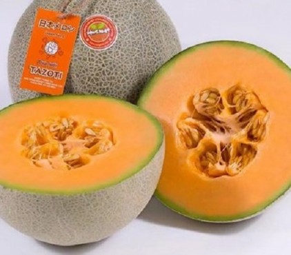 Dưa lưới cao cấp Musk Melon loại hoa quả nhập khẩu đến từ Nhật Bản