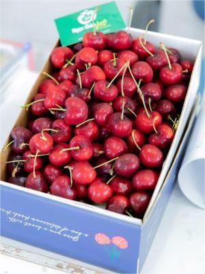 Quả cherry Mỹ có tác dụng gì?