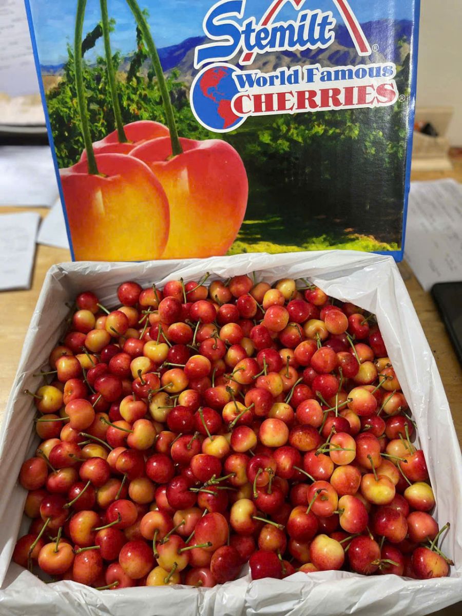 Giá quả cherry Mỹ