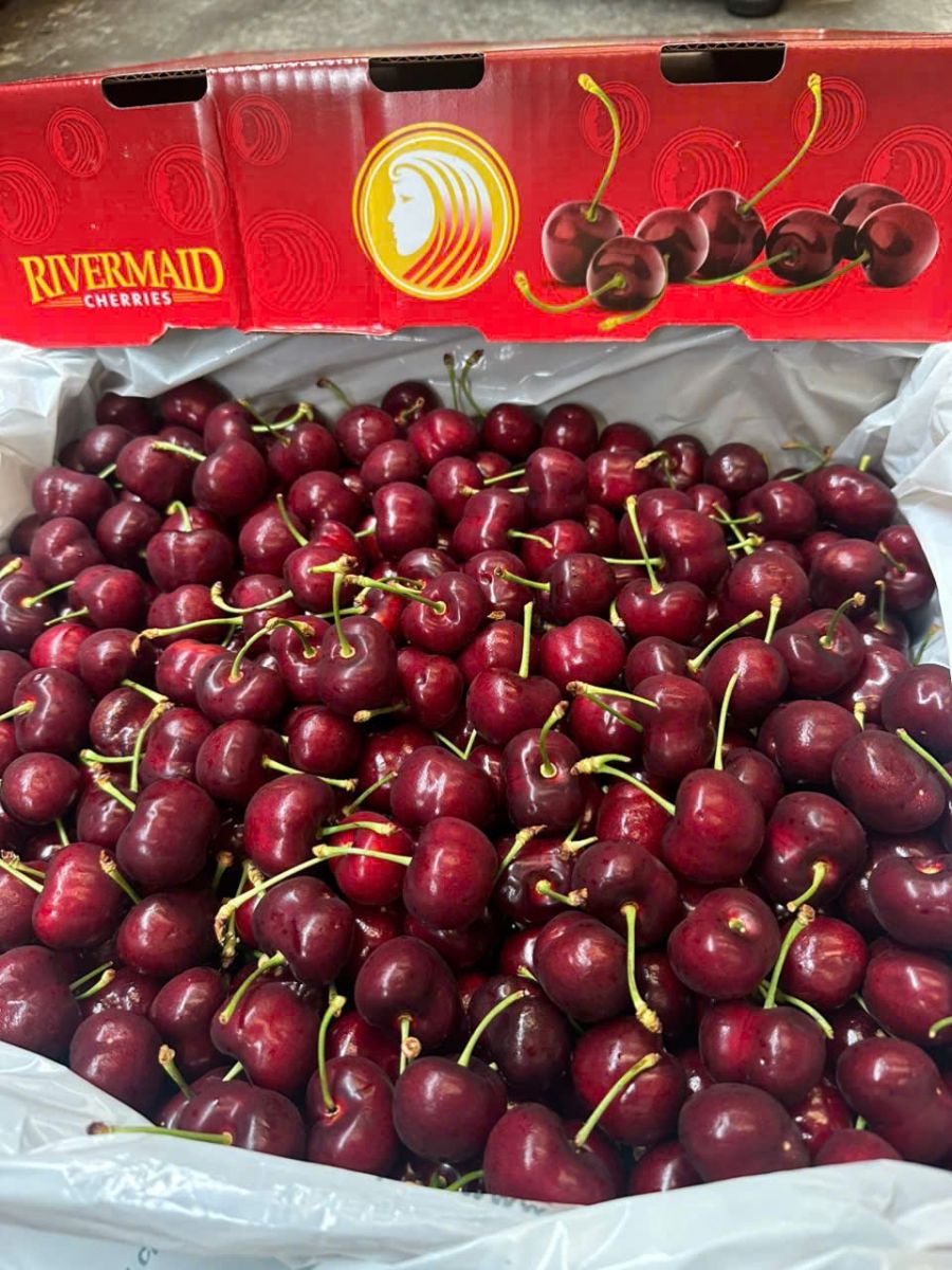 Giá quả cherry Mỹ