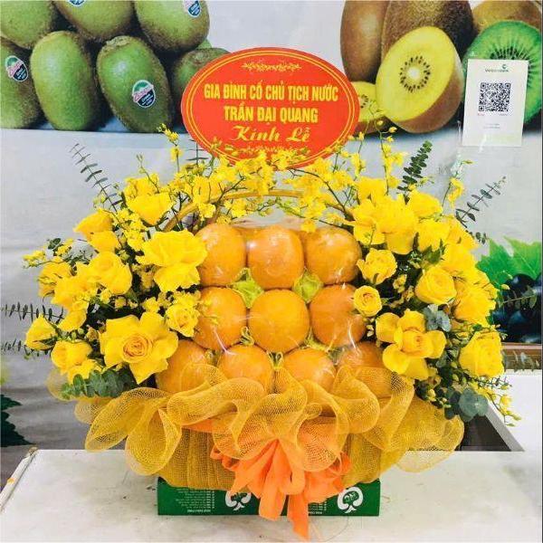 hoa quả nhập khẩu