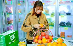 Mua giỏ hoa quả biếu tết tại Ngọc Châu fruits