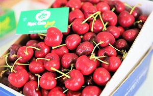 Hộp hoa quả nhập khẩu một loại quả bán tại Hà Nội