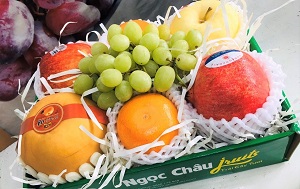 Hộp hoa quả nhập khẩu nhiều loại quả