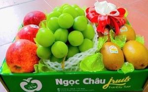 Hộp hoa quả nhập khẩu