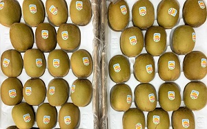 Bán kiwi nhập khẩu New Zealand tại Hà Nội