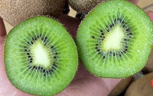 so sánh và nhận biết kiwi xanh và kiwi vàng New Zealand