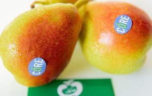 Lê Nam Phi loại hoa quả được bán nhiều tại Ngọc Châu fruits