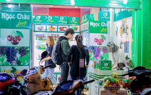 giỏ hoa quả nhập khẩu bán tại Hà Nội