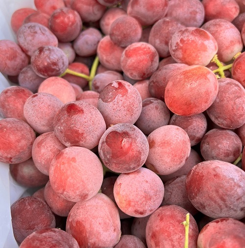 NHO ĐỎ CRIMSON OKUKU ÚC