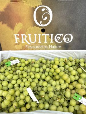 nho xanh Úc không hạt Fruitico