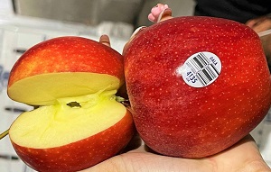 các loại táo nhập khẩu