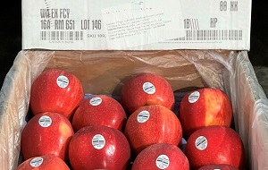 các loại táo nhập khẩu