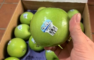 Táo xanh Granny Smith nhập khẩu từ Mỹ