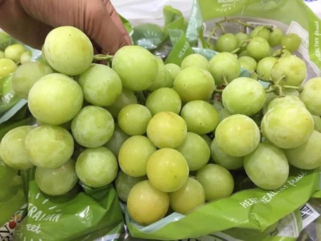 trái cây nhập khẩu